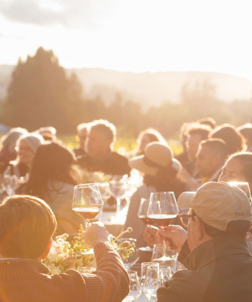 Best wine club events in Sonoma County, Mascarin Family Wines